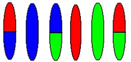 Genetic Algorithm: The population is ranked by fitness