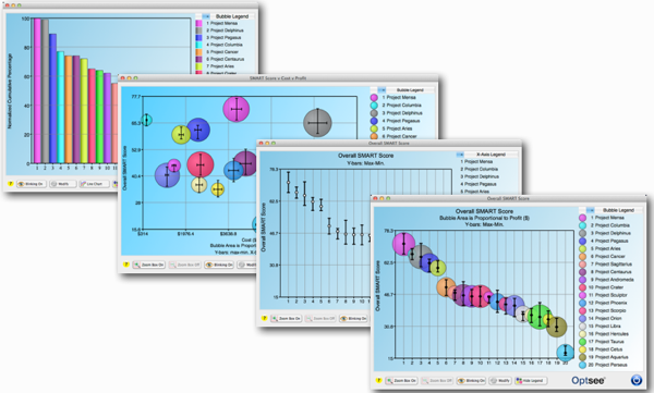 charts for displaying project portfolio management project prioritization risk
